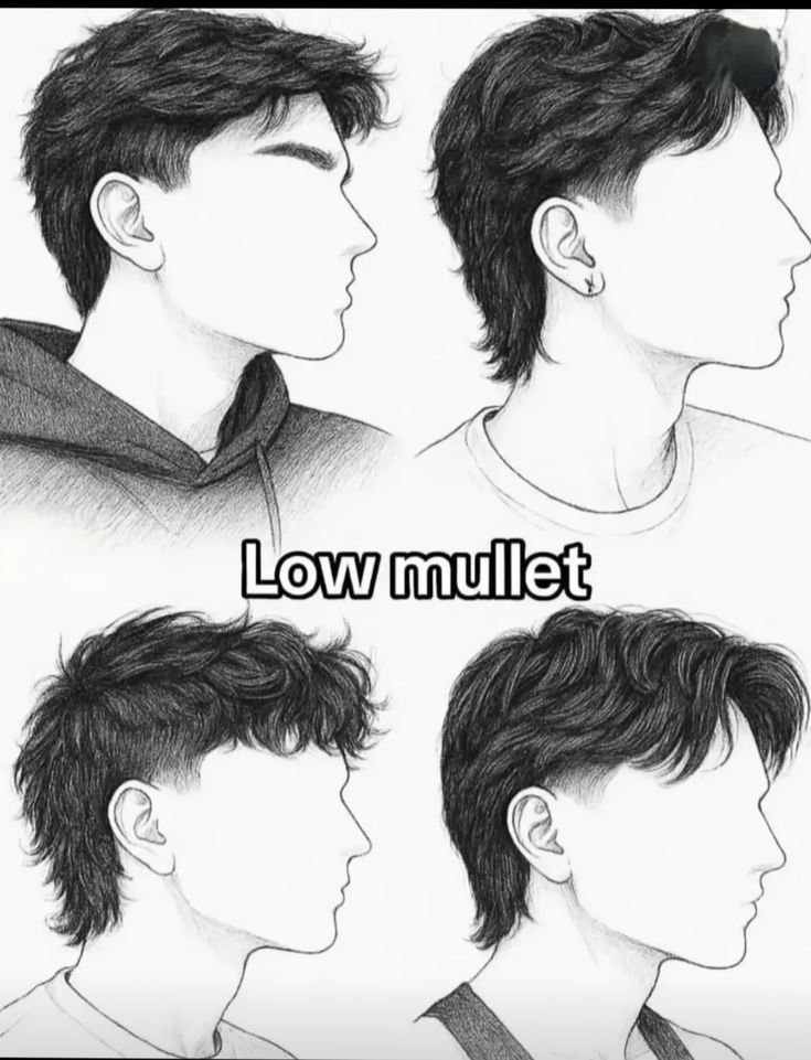 Mullet Layer nghệ sĩ